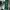 Puma Sportswear Jersey Pria white green photo 5