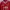 Sportswear Jersey Pria red photo 3