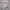 Oakley Streetwear Y2K Windbreaker Pria gray photo 3