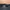 Oakley Streetwear Y2K Windbreaker Pria gray photo 4