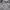 Oakley Streetwear Y2K Windbreaker Pria gray photo 2