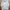 Yves Saint Laurent YSL Vintage Casual Windbreaker Pria white photo 1