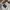 Sean John Streetwear Y2K Bomber jacket Pria white photo 4