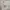 Sean John Streetwear Y2K Bomber jacket Pria white photo 3