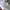 Vintage Y2K Hat Pria tan cream photo 2