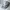 K2 Sportswear Hat Pria cream photo 4