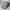 K2 Sportswear Hat Pria cream photo 1