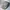 K2 Sportswear Hat Pria Cream
