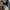 Urban Outfitters Vintage Casual shirt Pria cream photo 2
