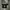 Avant Garde Casual Pea coat Pria gray photo 6