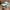 Titleist Streetwear Sportswear Hat Pria white green photo 2