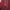 Luxury Cardigan Wanita burgundy photo 2