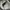 Nike Casual Sneakers Pria white photo 6