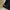 Converse Streetwear Sportswear Boxer Pria multicolor black photo 2