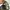 Von Dutch Biker Hat Pria multicolor photo 4