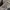Luxury Bomber jacket Pria multicolor photo 5