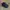 Clarks Streetwear Casual Casual shoe Pria black photo 6