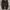 Vintage Streetwear Jeans Pria brown photo 1