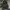 Adidas Casual Track jacket Pria green photo 1