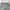 Carhartt Y2K Biker Tracksuit Pria green photo 3