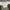 Carhartt Y2K Biker Tracksuit Pria green photo 8
