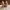 Brian Atwood Luxury Heels Wanita tan photo 4
