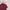 EXR Sportswear Polo shirt Pria burgundy photo 1