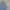 Arnaldo Basini Streetwear Polo shirt Pria blue photo 1
