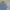 Arnaldo Basini Streetwear Polo Shirt Pria Blue