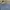 Arnaldo Basini Streetwear Polo shirt Pria blue photo 3
