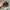 Abercrombie & Fitch Casual Hat Pria tan photo 4