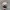 Abercrombie & Fitch Casual Hat Pria tan photo 2