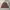 Casual Harrington jacket Pria brown photo 1