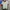 Fila Vintage Y2K Polo shirt Pria gray photo 1