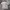 Fila Vintage Y2K Polo shirt Pria gray photo 4