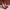 Christian Louboutin Luxury Heels Wanita Burgundy