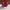Christian Louboutin Luxury Heels Wanita burgundy photo 4