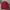 thisisneverthat Casual T-shirt Pria red photo 4