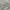 Topten Casual Polo shirt Pria gray photo 4