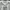 Zadig & Voltaire Biker Casual T-shirt Wanita white photo 2