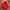 Nike Y2K Sportswear Hoody Pria red photo 1