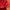 Nike Y2K Sportswear Hoody Pria red photo 4
