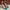 Christian Louboutin Luxury Heels Wanita multicolor photo 2
