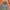 Carhartt Streetwear Skater Hoody Pria multicolor photo 2