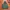 Marvel Minimalist Hoody Kids multicolor photo 1