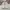 New Balance Streetwear Sportswear Windbreaker Pria white photo 1