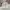 New Balance Streetwear Sportswear Windbreaker Pria white photo 2
