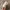 New Balance Streetwear Sportswear Windbreaker Pria white photo 8