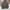 Uniqlo Streetwear Sportswear Windbreaker Pria gray photo 2