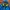 Lee Cooper Sportswear Hoody Pria blue yellow photo 3